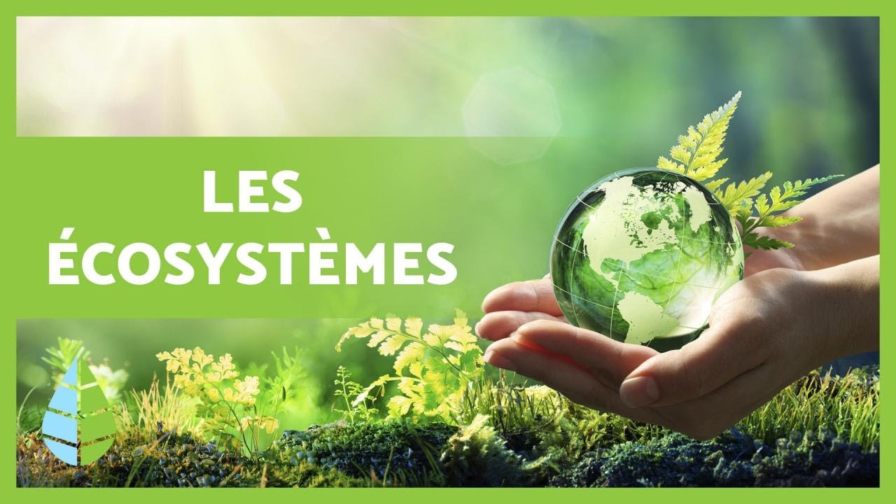 Journées portes ouvertes sur l’écosystème startup et entrepreneurial 1275/008